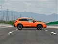 ˹XV